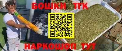дмт Гатчина
