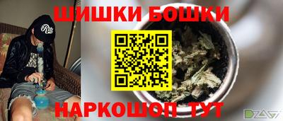 дмт Гатчина
