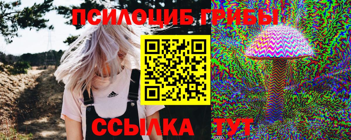 Псилоцибиновые грибы Psilocybine cubensis  наркошоп  Клин  Вход с VPN 