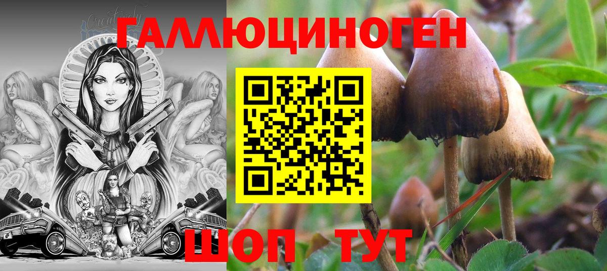 Сколько стоит  Cocaine  Клин  Вход с VPN  Меф кристаллы  Конопля  Alpha-PVP СОЛЬ   ТГК 